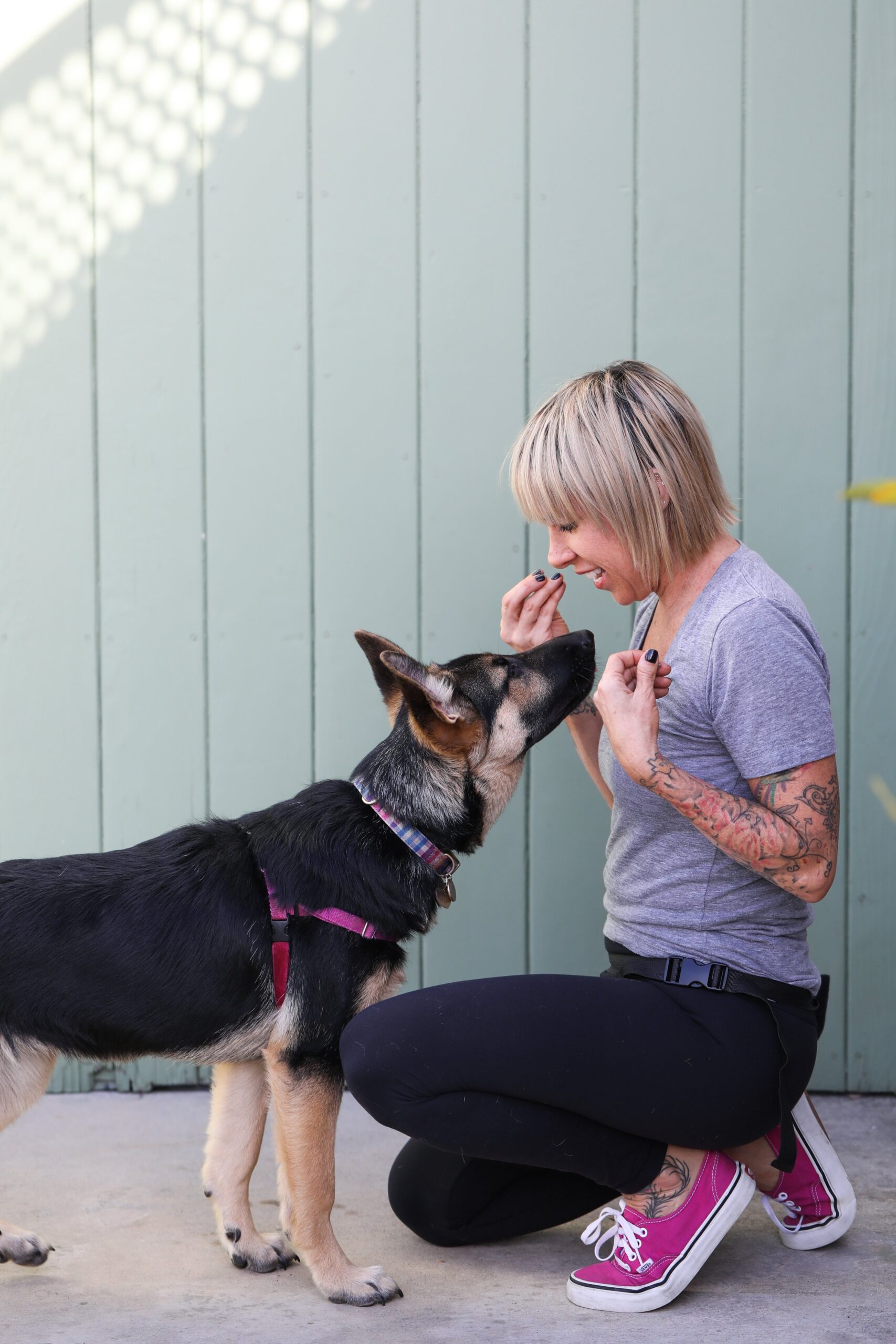 Puppy Training, Long beach, Puppy training long beach,obedience training