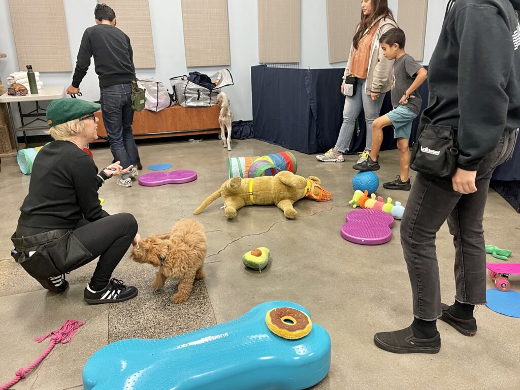 Puppy Kindergarten with Underdogs Long Beach Dog Trainer in Long Beach California